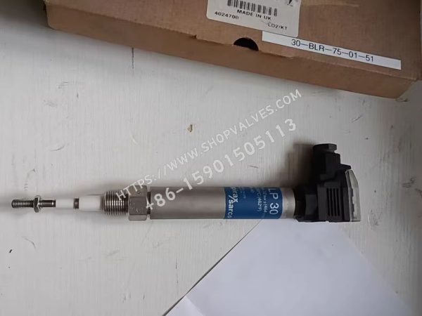 Sonda de alarma de bajo nivel de alta integridad y autocontrol Spirax Sarco LP30