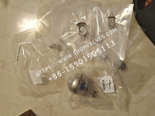 Spirax Sarco FTGS14/FT14 repair kit