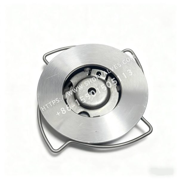 GESTRA RK76 wafer-type check valve