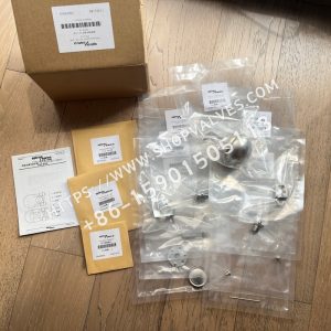 Spirax Sarco FTS14 维修包 Maintenance kit 11452180